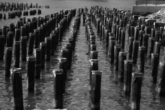 1_20120217_nyc_0202jpg_19530041786_o