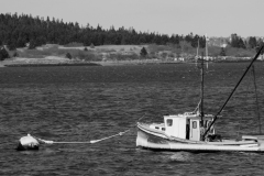 1_downeast-012jpg_19367840678_o