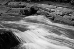 mg_2674jpg_19549489592_o
