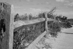 mg_3286jpg_19368355500_o