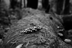 mg_3361jpg_19368372130_o