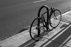 mg_4562-bikejpg_18934879903_o