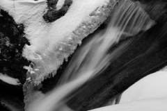 mg_5007jpg_19367766878_o