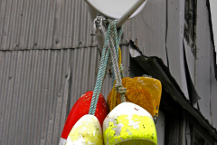 mg_3774-bouy-dishjpg_19370371038_o