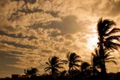 Sunset - Ft. Lauderdale,Sunset - Ft. Lauderdale